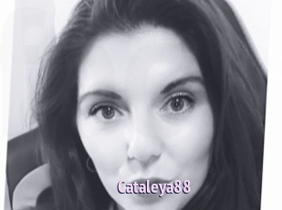 Cataleya88