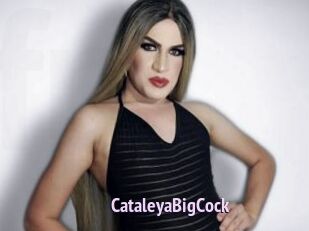CataleyaBigCock