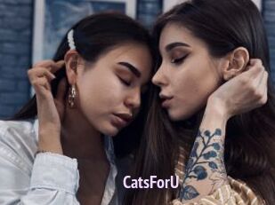 CatsForU