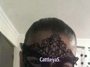 Cattleya_S