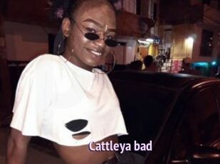 Cattleya_bad