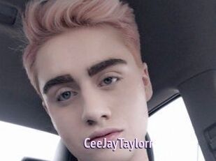 CeeJayTaylorr