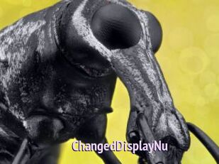 ChangedDisplayNu