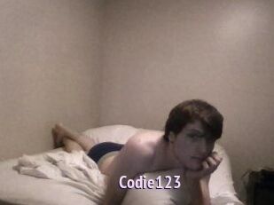 Codie123