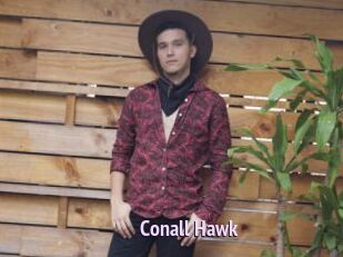 Conall_Hawk