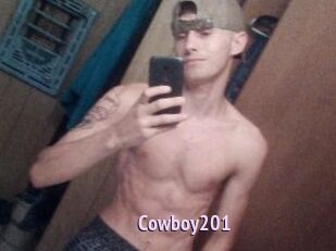 Cowboy201