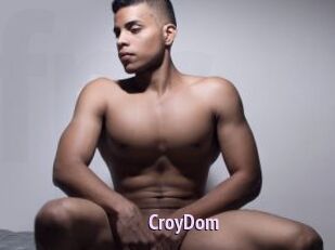CroyDom
