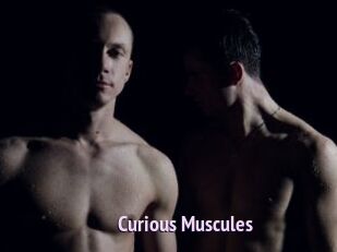 Curious_Muscules