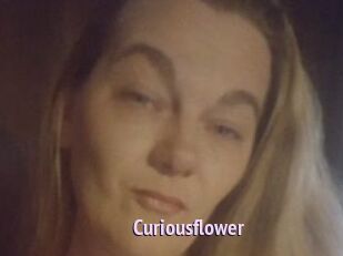 Curiousflower