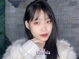 Cafenia