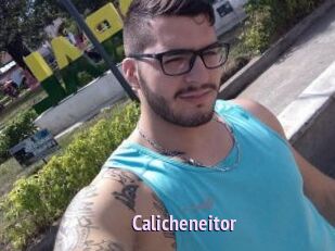 Calicheneitor