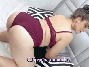 Calipso_pardomuchas