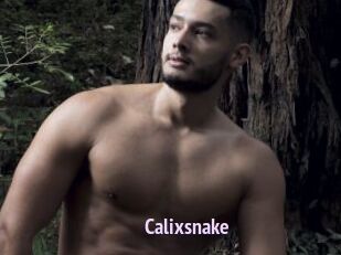 Calixsnake
