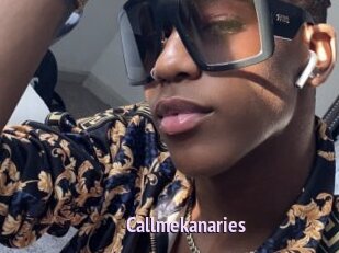 Callmekanaries