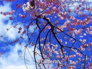 Cameron
