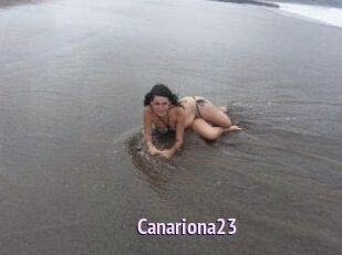 Canariona23