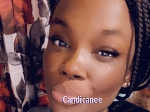 Candicanee