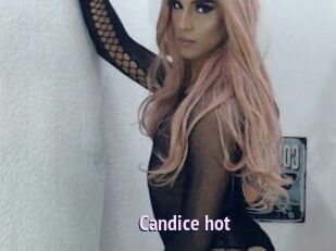 Candice_hot