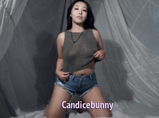 Candicebunny