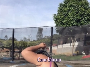 Canelabrun