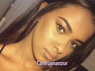 Canelamanzur