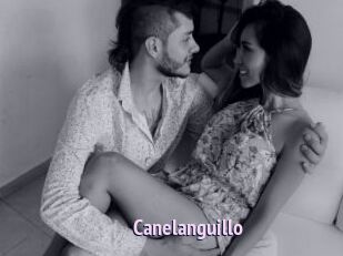 Canelanguillo