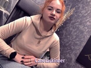 Canelaskinner