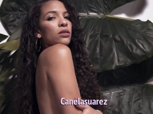 Canelasuarez