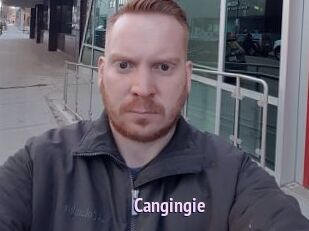Cangingie