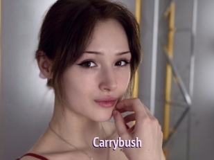 Carrybush