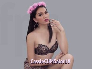 CassieCUMSalot18