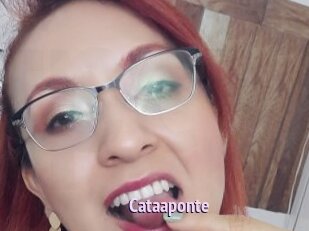 Cataaponte