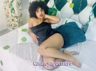 Cataleyaguerrero