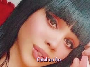 Catalina_fox