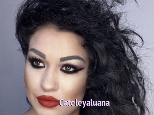Cateleyaluana
