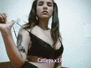 Catleya_x18