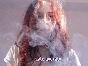 Cato_avocato