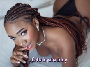 Cattaleyabackley