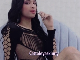 Cattaleyaskinny