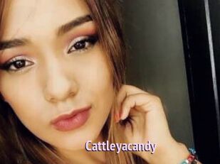 Cattleyacandy