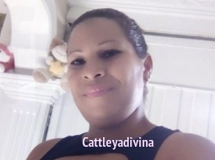 cattleyadivina Film Porno