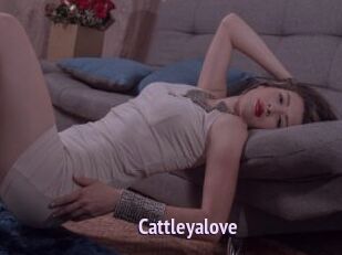 Cattleyalove