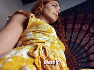 Cattnip