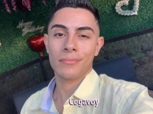 Cegavoy