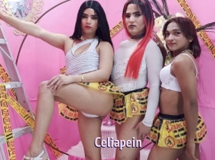 celiapein Film Porno