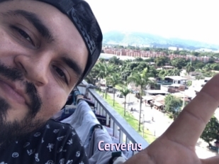 Cerverus