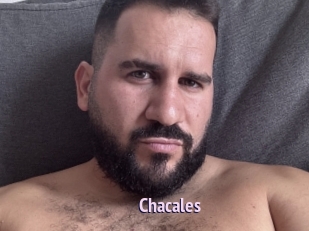 Chacales