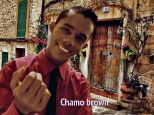 Chamo_brown