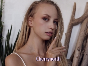 cherrynorth Film Porno