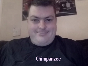 Chimpanzee